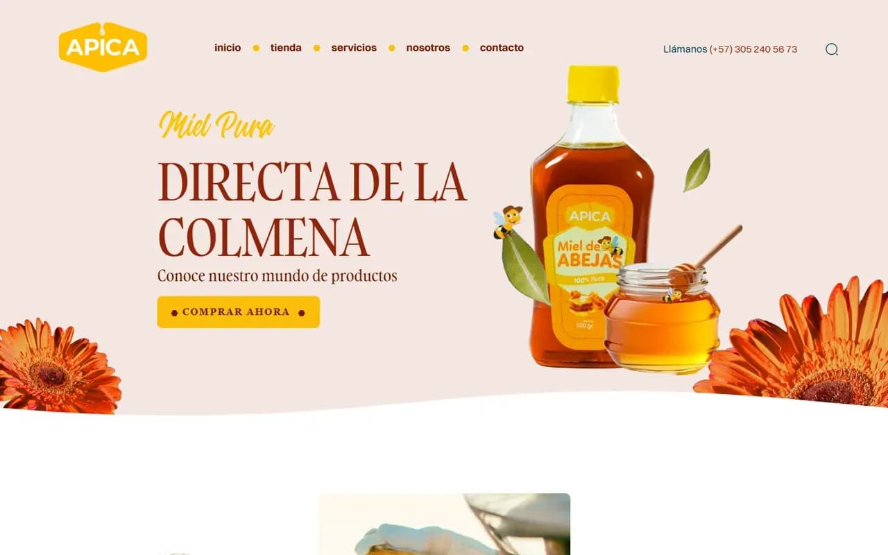 Captura del sitio web de Apica