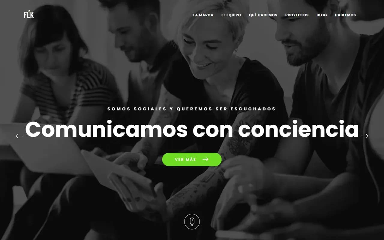 Captura del sitio web de FLK
